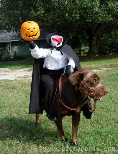 Cute dog Halloween costumes