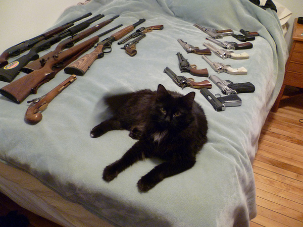 Cats with gunz.
