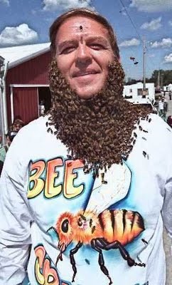 honey beard