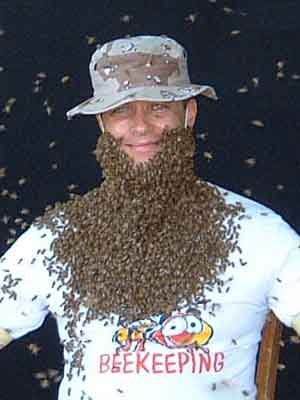 honey beard