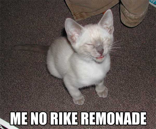 cats dont like lemonade...