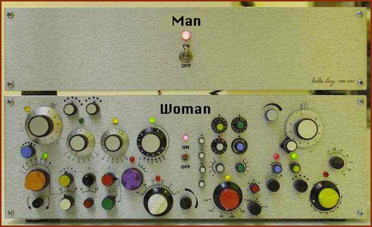 Engineer's Description Of A Woman