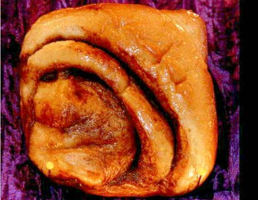this is the NUNBUN, were supposed to see mother teresa