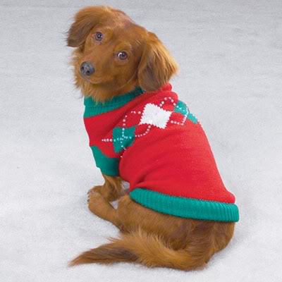 Cute Pets in Ugly Xmas Sweaters