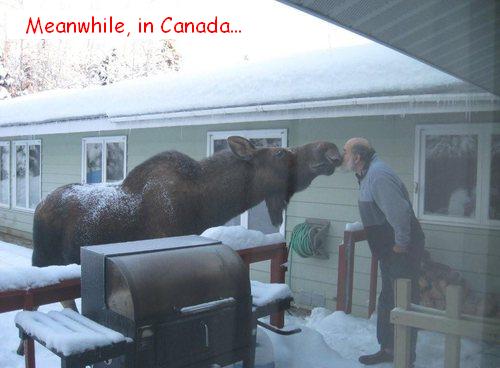 Meanwhile, in Canada...