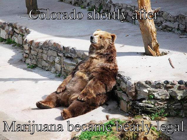 Colorado's Pot smoking bear (way to go UNC mascot)