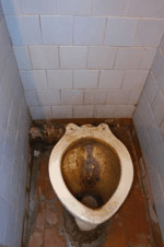 toilet full of shit