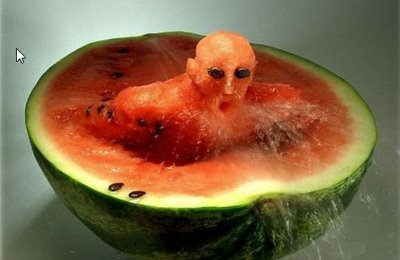 Fun With Fruits
