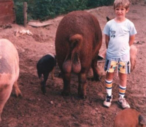 Kid standing next to a an animal with massive testicles.