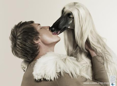 Man making out with dog with long hair.