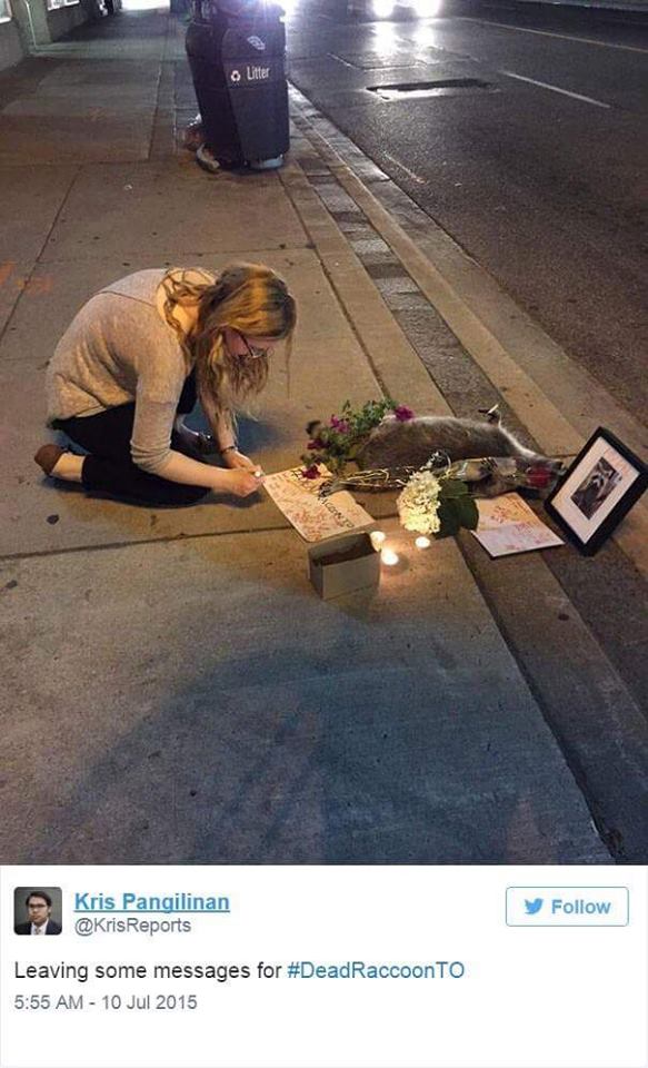 Dead Raccoon Gets Memorialized And Given A Candle Light Vigil In Toronto 