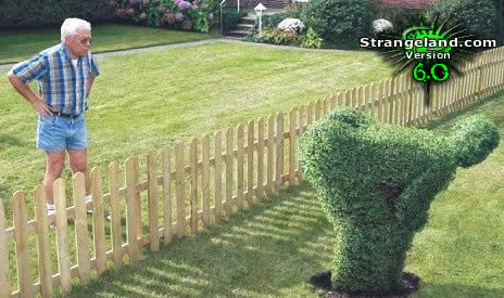 Wish I could trim my bushes like that!!