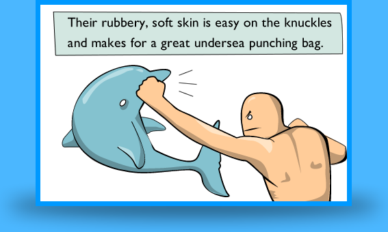 5 Very Good Reasons To Punch A Dolphin In The Mouth
