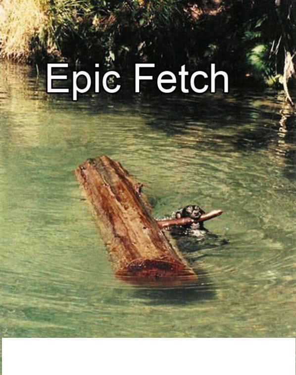 This is an Epic Fech