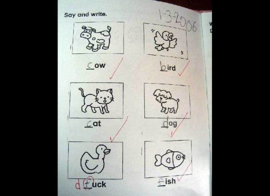 Funny Test Answers