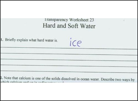 Funny Test Answers