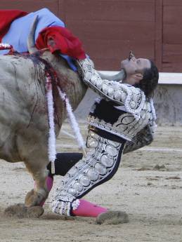 Spanish matador Julio Aparicio is gored by a bull during a bullfight . Don't Mess with the Bull or you will get the Horns!