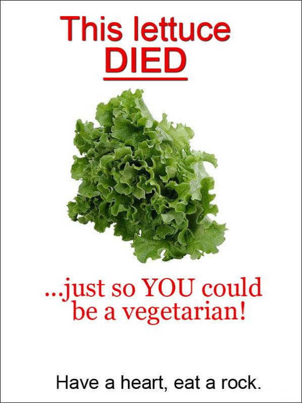 Vegetarians are so damn selfish killing innocent greens! 
