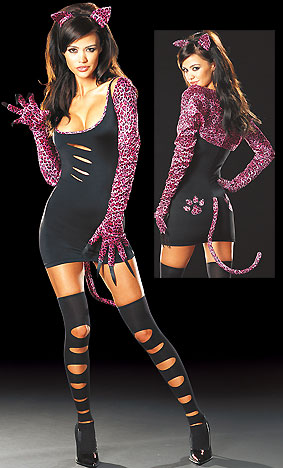Hot Chicks Dressed as Cats