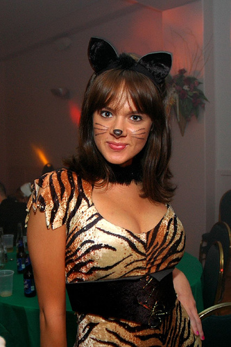Hot Chicks Dressed as Cats