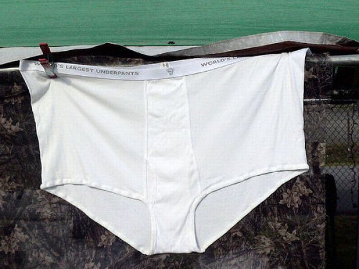 Largest Underwear