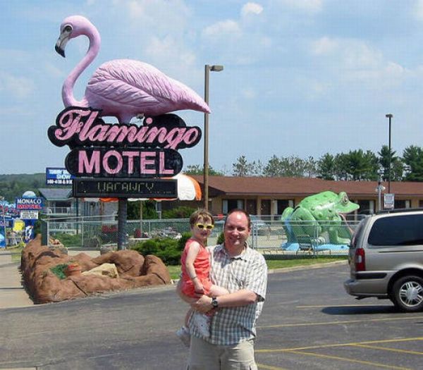 Largest Flamingo