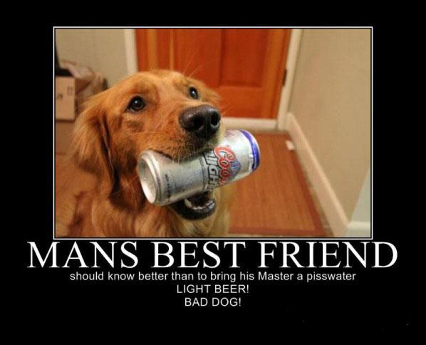 A mans best friend doesn't bring man crappy watered down beer!