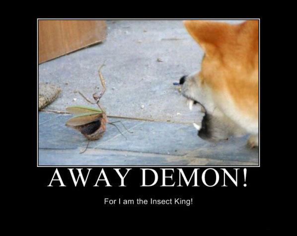 Away you demon animal before you feel my Wath!