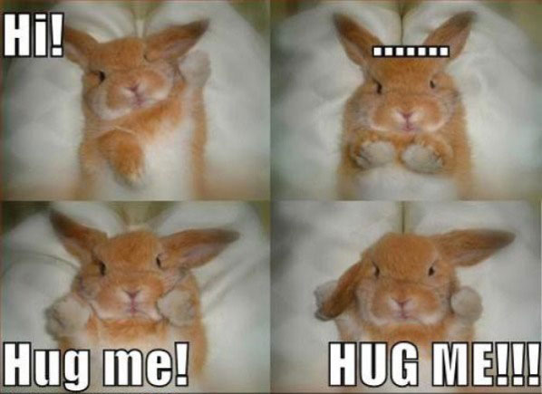 Bunny needs hugs NOW!
