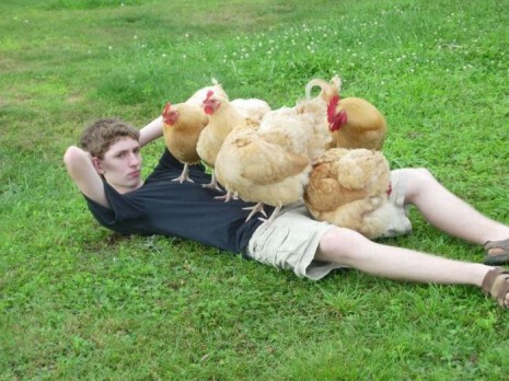 Doing Set-ups with Chickens like a Boss