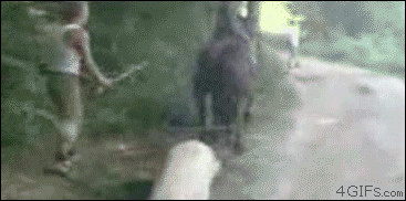 WHIPS HORSE PULLING A BIG LOG - GET'S KICKED IN FACE