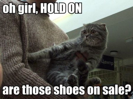 Cats Love Shoe Sales Too.