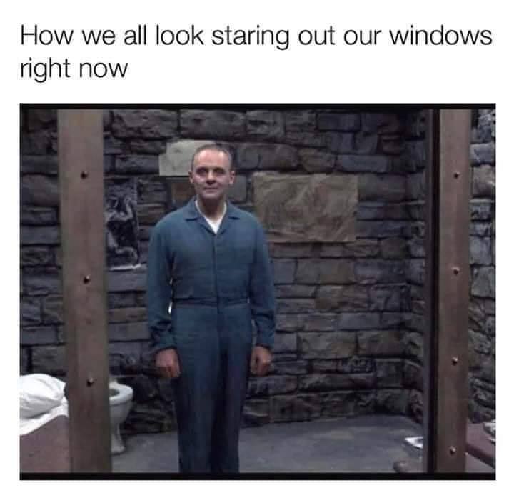 silence of the lambs - How we all look staring out our windows right now
