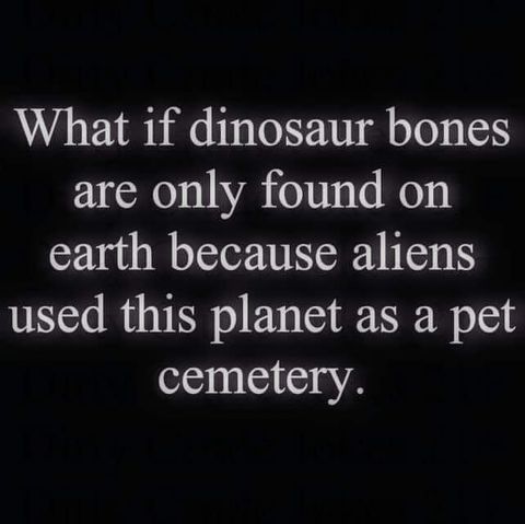 darkness - What if dinosaur bones are only found on earth because aliens used this planet as a pet cemetery.