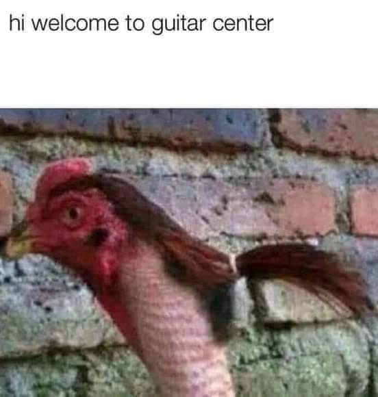 fun randoms - chicken with ponytail - hi welcome to guitar center