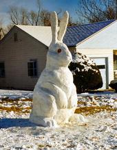 evil snow bunnies invade earth 