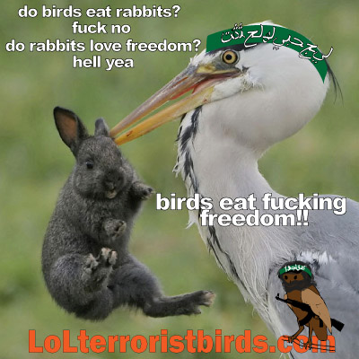 do you love freedom??? then a terrorist bird will fucking eat you!