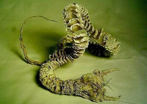 Death Worm (Mongolia)