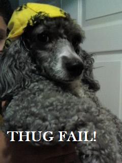 my dog trying to be a thug!