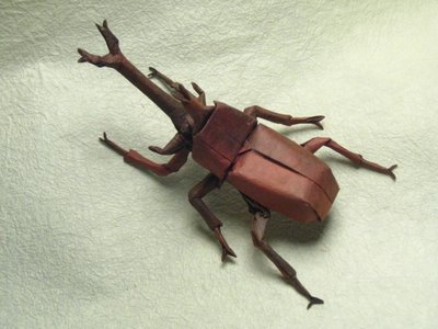 Insect Oragami Art