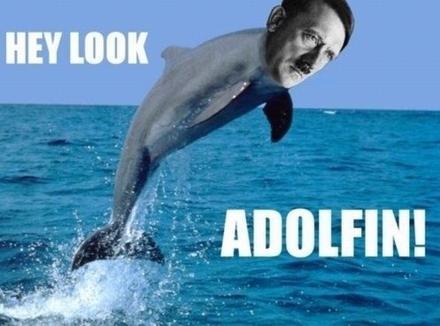 nazi dolphin