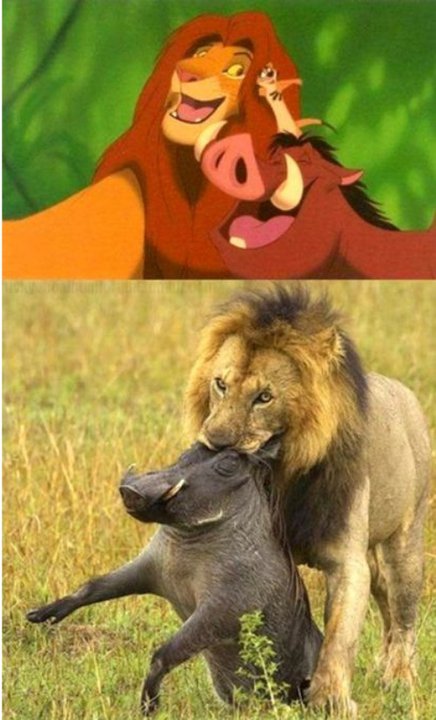 real lion king