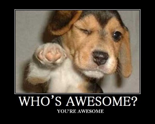 Yea! Awesome Puppy!