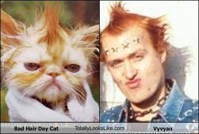 Celebrity Look-a-Likes!