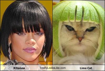 Celebrity Look-a-Likes!
