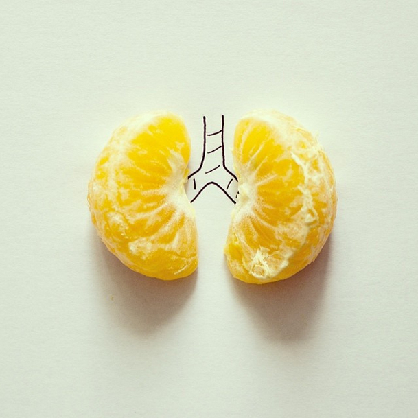everyday objects photography