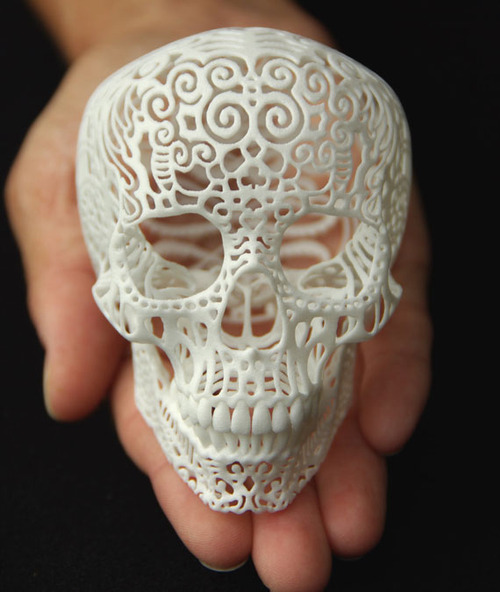 Joshua Harker's "Cania Anatomica Filigre Skull."
