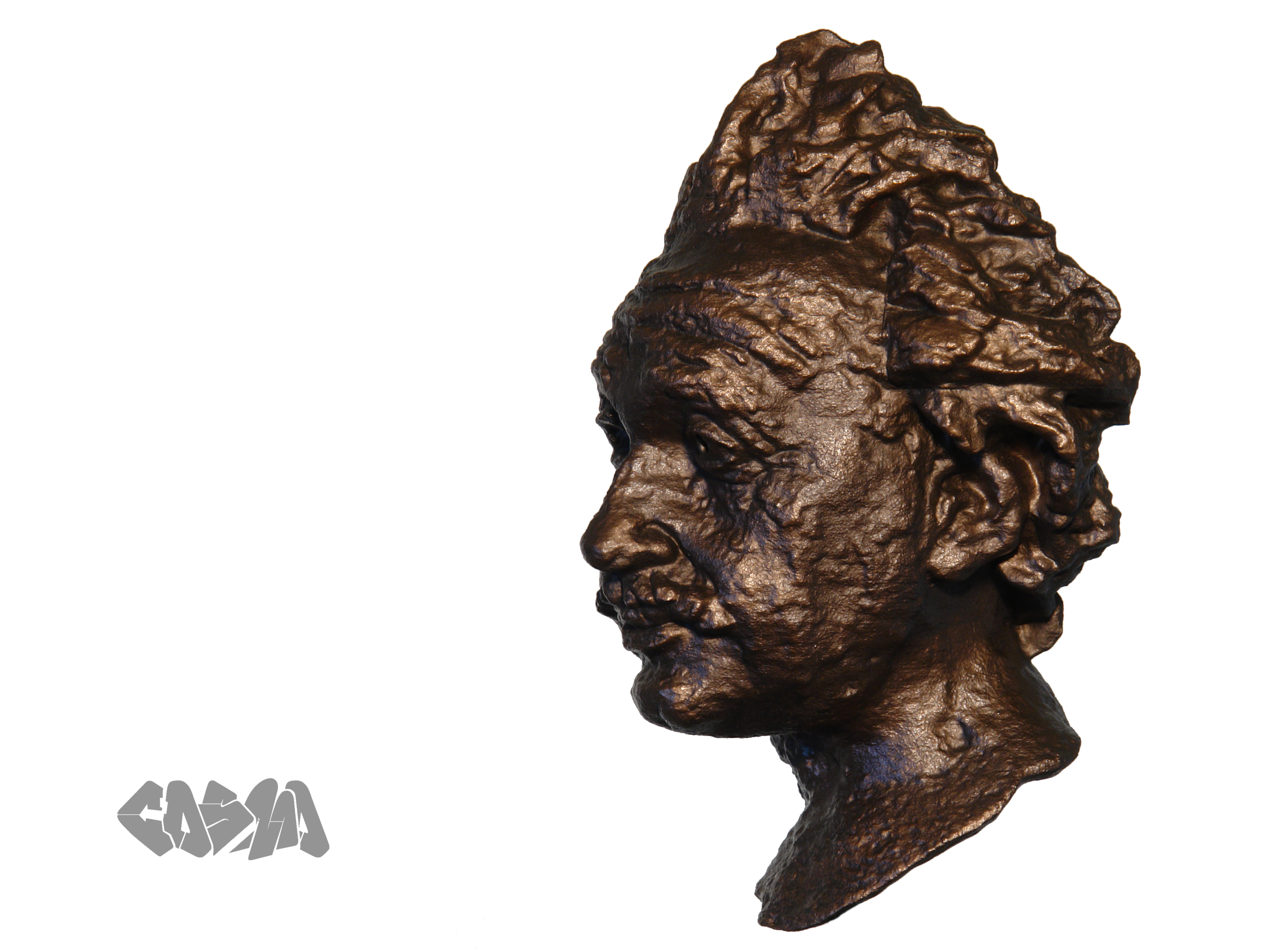Cosmo Wenman's "Albert Einstein Bust with Bronze Finish."