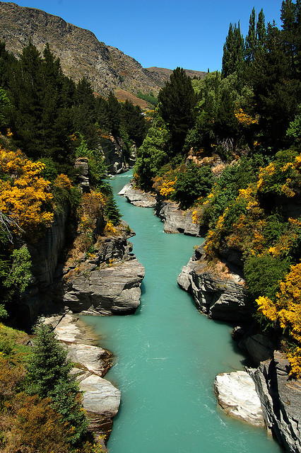 In reality, the picture shows the scenic Shotover River in New Zealand, where the vegetation is a normal shade of green. The vivid purple color is completely artificial, achieved by means of a color filter.