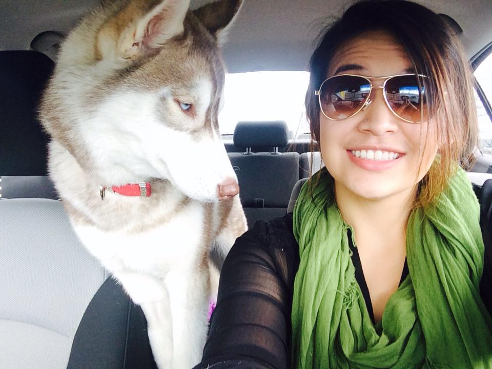 husky does not approve of selfie